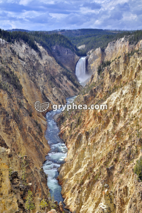 Yellowstone River - gryphea.org